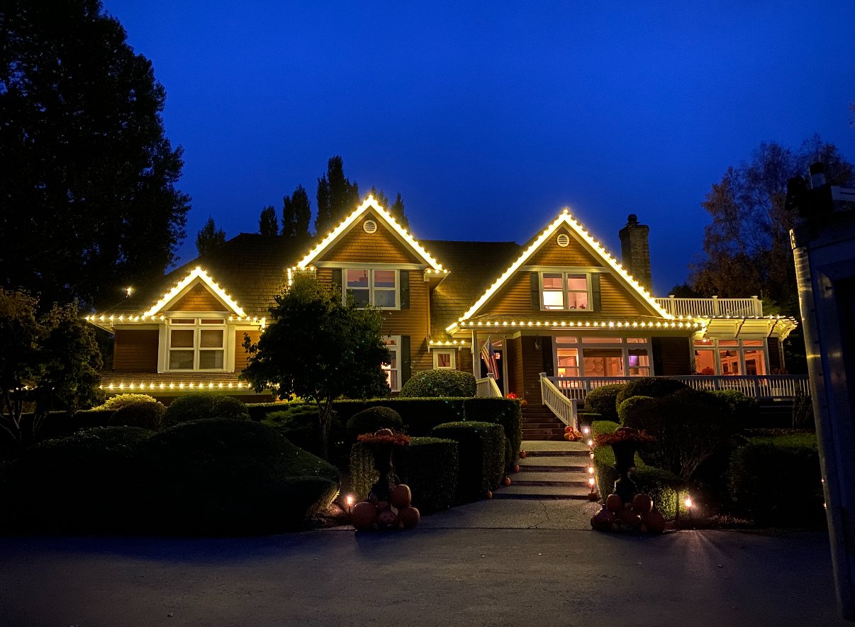 Bellevue holiday light installation